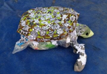 Turtle art Hatchery Competition