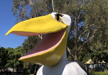 Snap a Selfie with the Big Pelican