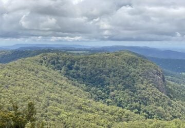 A picture of the views from Binna Burra
