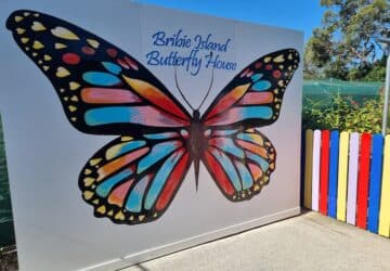 A large colourful Bribie Island Butterfly House sign.