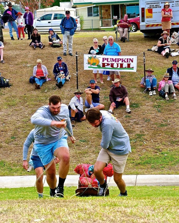 pumpkin pulling