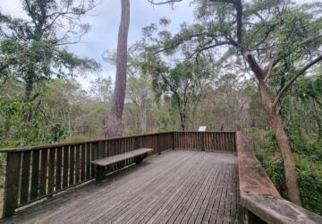 Boardwalk lookout at Brisbane Koala Bushlands.