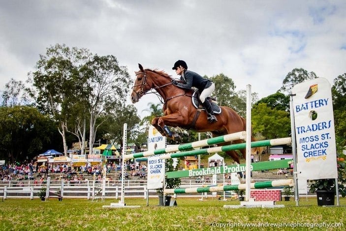 Brookfield Show Horse Jumping