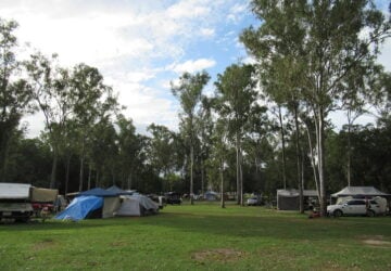 Many campers set up among trees at Cobb and Co campgrounds.