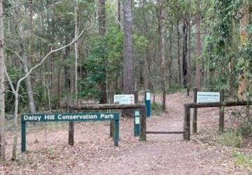 Daisy hill conservation park entry.
