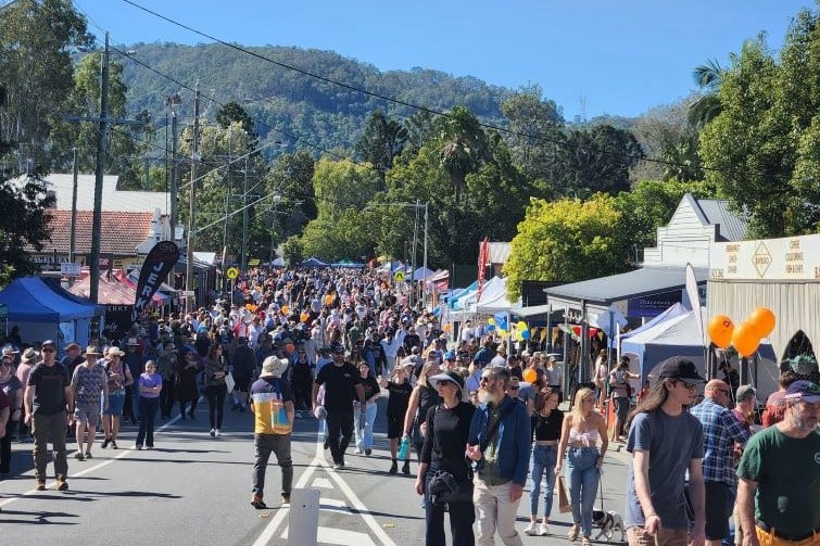 Dayboro Day Festival event image of people in the street.