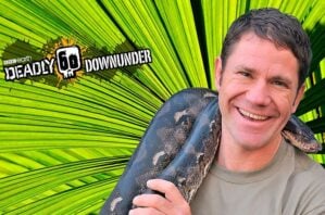 Steve Backhall deadly 60 downunder featuring live animals