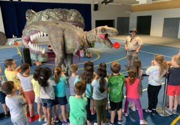 Dino Encounters kindergarten group watching dinosaur show in school hall.