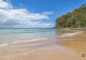 a beach at noosa as an example of fun things to do in noosa with kis