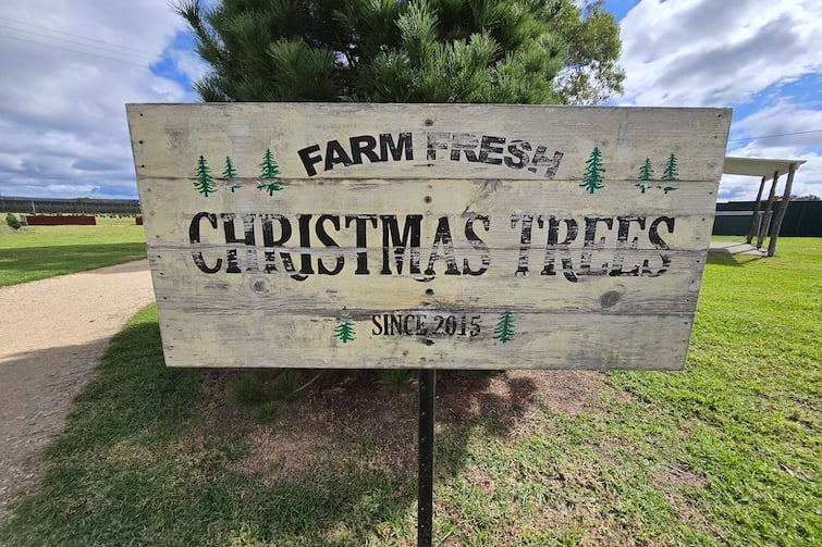 'Farm Fresh Christmas Trees' sign at Granite Belt Christmas Farm.