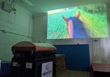 horse simulator for people with disability