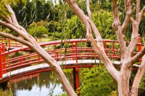 toowoomba japanese gardens