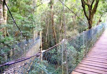 Staying in Lamington National Park