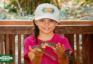 Girl holding snake at Currumbin Wildlife Sanctuary