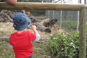 The Darling Downs Zoo