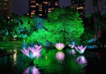Colourful lights in the pond at Lightscape Brisbane.