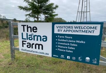 The llama Farm main sign.