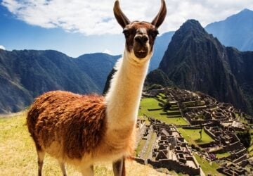 Machu Pichu Virtual Tour