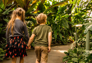 Brisbane Botanic Gardens Mt Coot-tha kids walking through the tropical dome