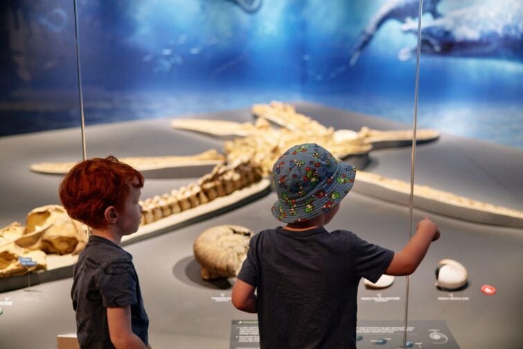 Museum explorers event image of tow little boys looking at fossils.