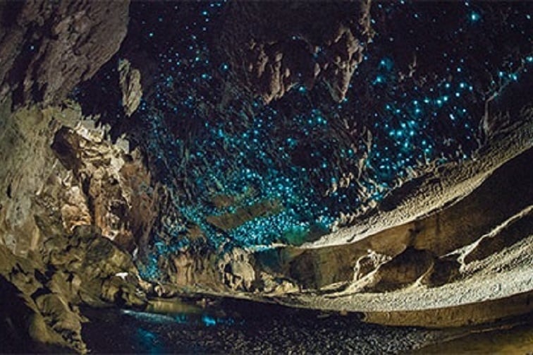 Nature by night event image of glow worm cave.