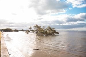 Nudgee beach water view