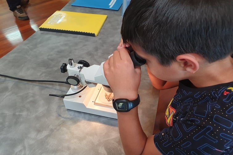 Boy using microscope at Osprey House.