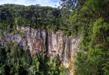 Purling Brook Falls from lookout, Springbrook National Park