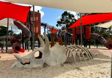 Riverdale Park Dinosaur Playground, image of dinosaur fossil.