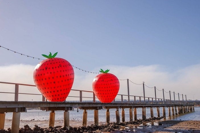 giant strawberries on jetty, sandstone point, strawberry festival