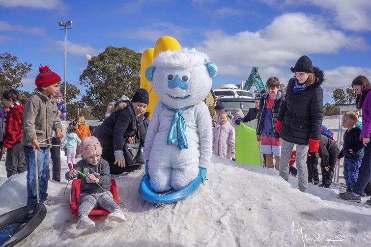 snowflakes in stanthorpe, snow