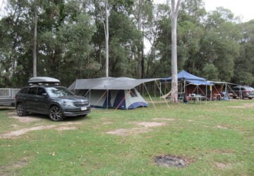 cars and tents set up near trees and green grass.