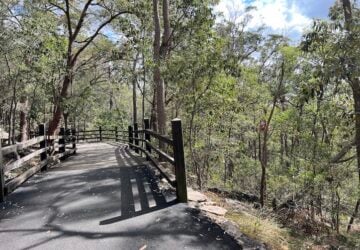 A pathway with fencing at Toohey Forest.