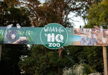 Wildlife HQ night zoo sign