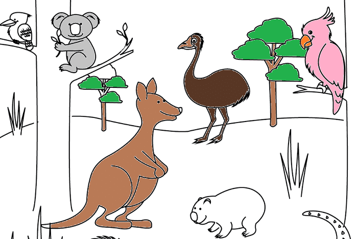 australian_animal_colouringin