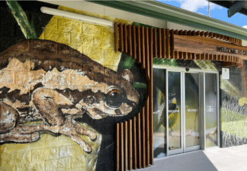 creec environmental education centre at caboolture, the front entrance with a native frog sign alongside the entry way