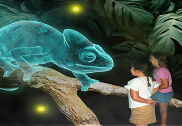 Hologram Zoo 2023 Chameleon.
